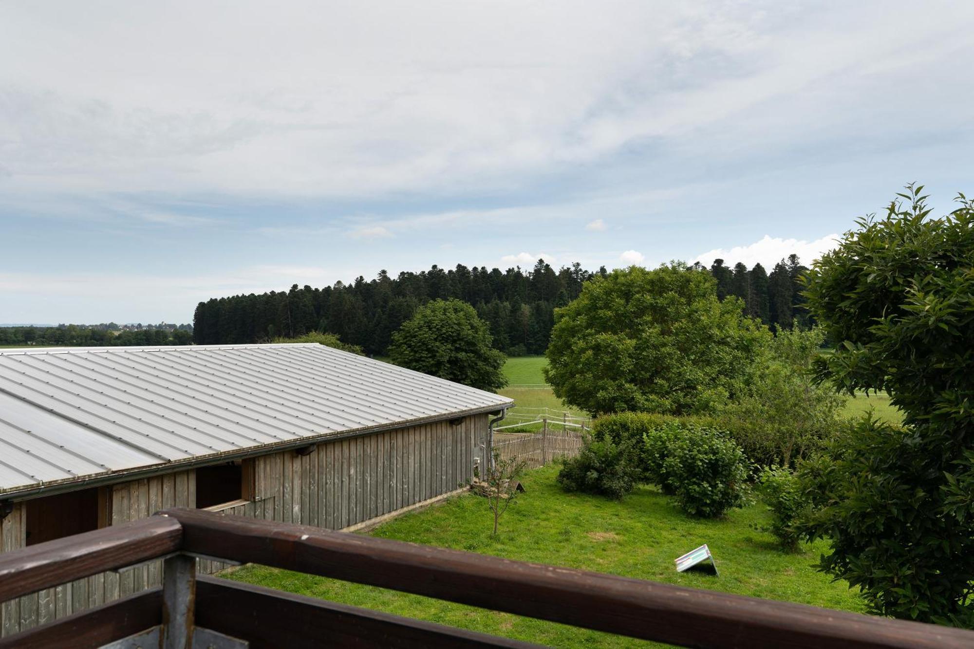 Fewo Naturliebe - Keine Monteure Dornhan Exterior foto